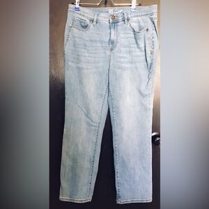 DG2 by Diane Gilman Lux Touch Light Blue Denim, Straight-Leg Jeans